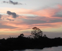 amazon ferry