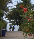 caraiva