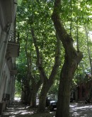 colonia del sacramento