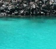snorkeling