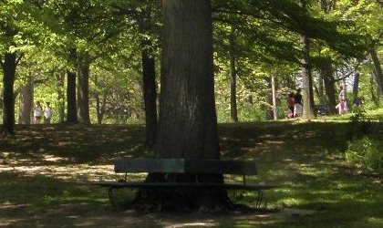 high park