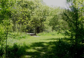 high park