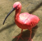iguacu