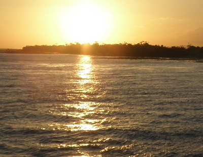 amazon river