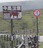 aso