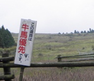 aso