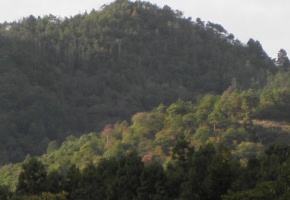 kyoto