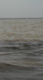 manaus