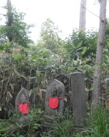 moiwa