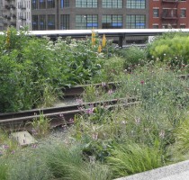 highline
