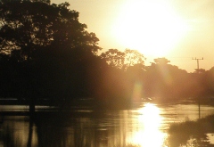 pantanal