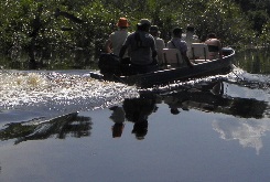 pantanal