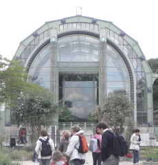 botanical