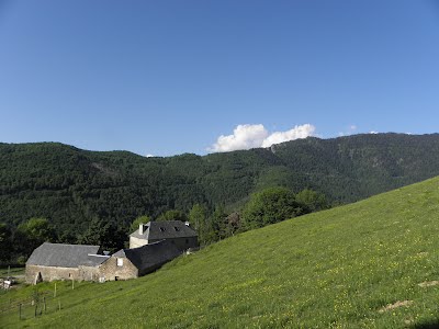 pyrenees