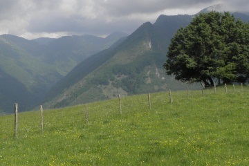 sarrancolin