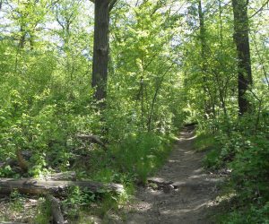 highpark