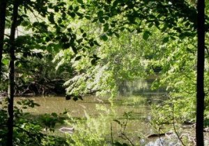 highpark