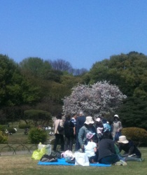 gyoen