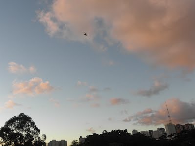 sao paulo cafe