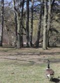 high park