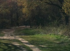 high park