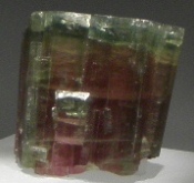 royal ontario museum