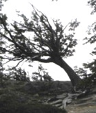 torres del paine