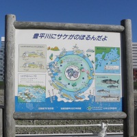 sapporo
