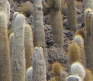 uyuni