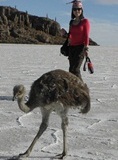uyuni